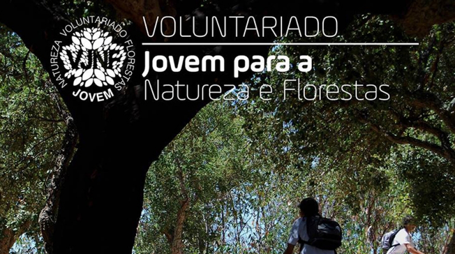 Inscrições abertas para “Voluntariado Sintra Jovem – Florestas”