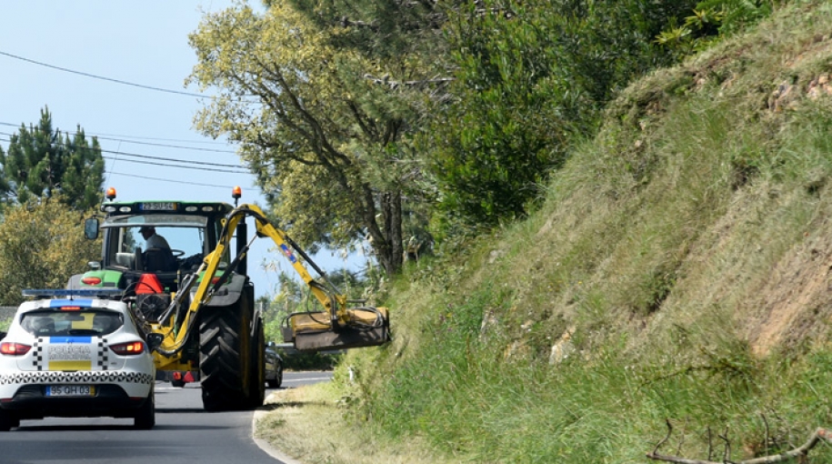 Limpeza das faixas de gestão de combustível na Serra de Sintra já começou