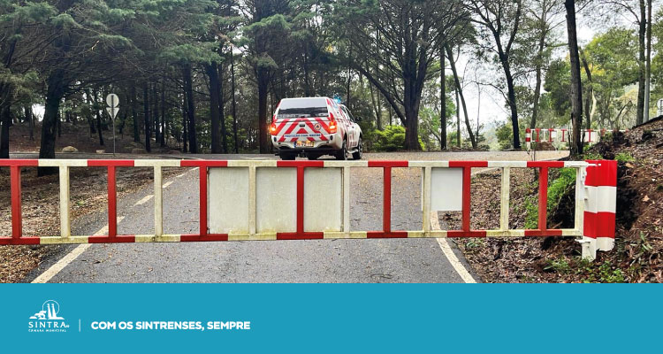 AVISO | Perímetro florestal da Serra de Sintra encerrado