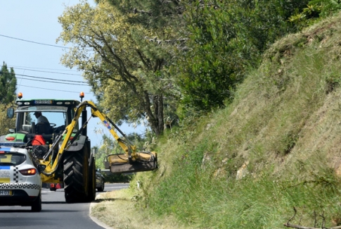 Limpeza das faixas de gestão de combustível na Serra de Sintra já começou