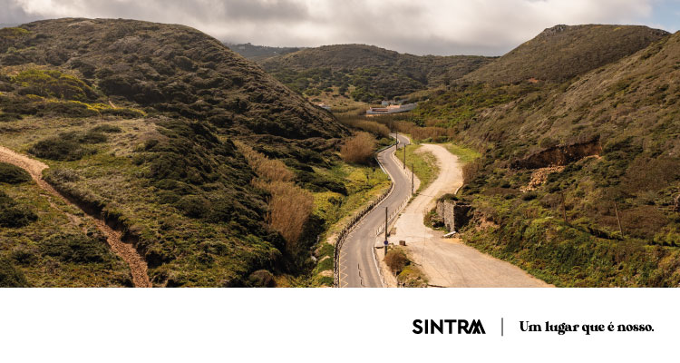 Câmara de Sintra coloca em prática Plano de Fogo Controlado de Colares