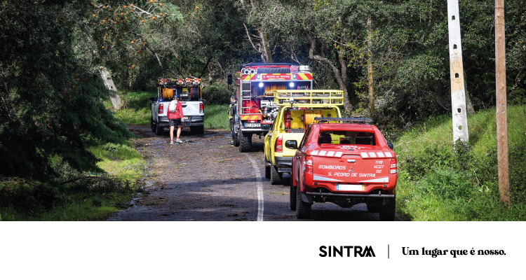 Monumentos e perímetro florestal da Serra de Sintra mantêm-se encerrados devido a condições meteorológicas adversas